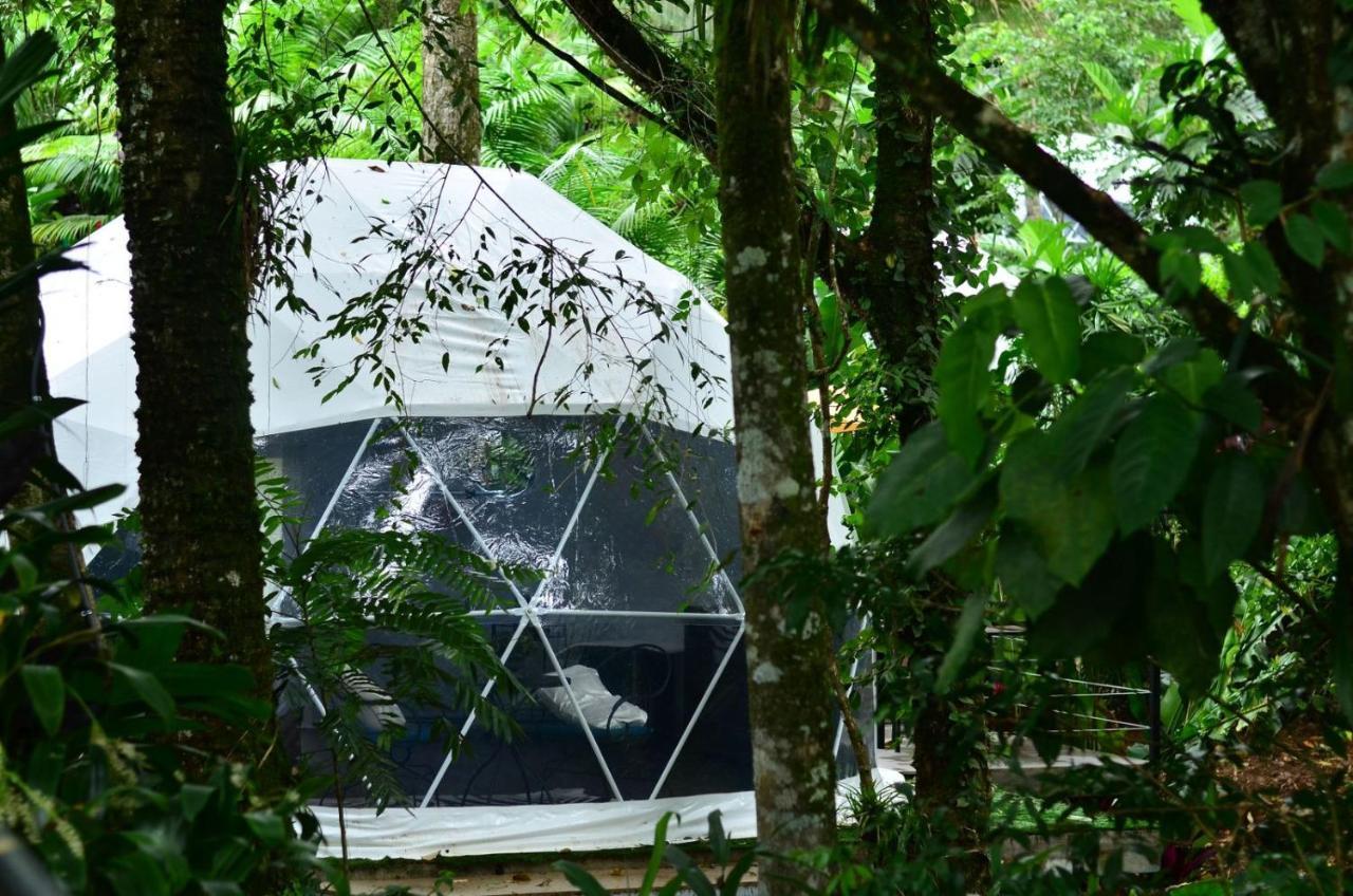 Palo Alto Glamping Hotel Quesada  Buitenkant foto
