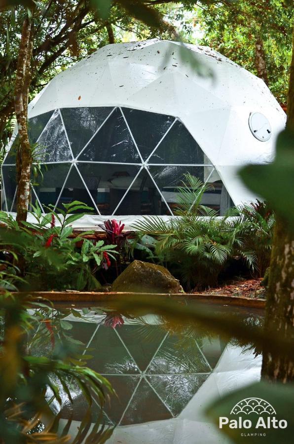 Palo Alto Glamping Hotel Quesada  Buitenkant foto