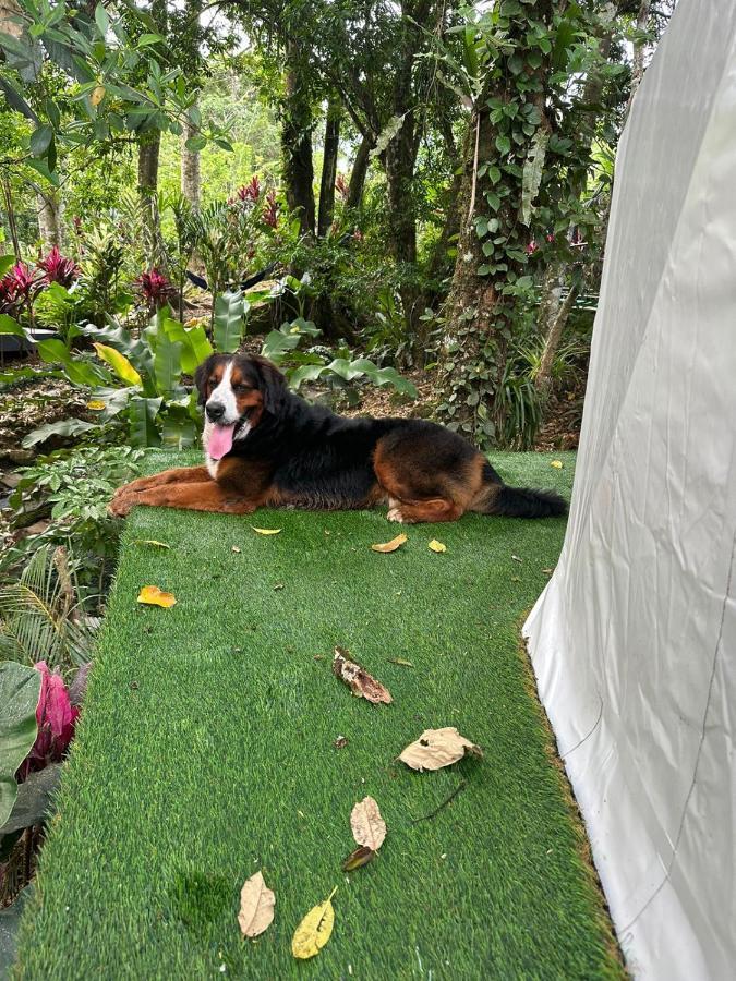 Palo Alto Glamping Hotel Quesada  Buitenkant foto