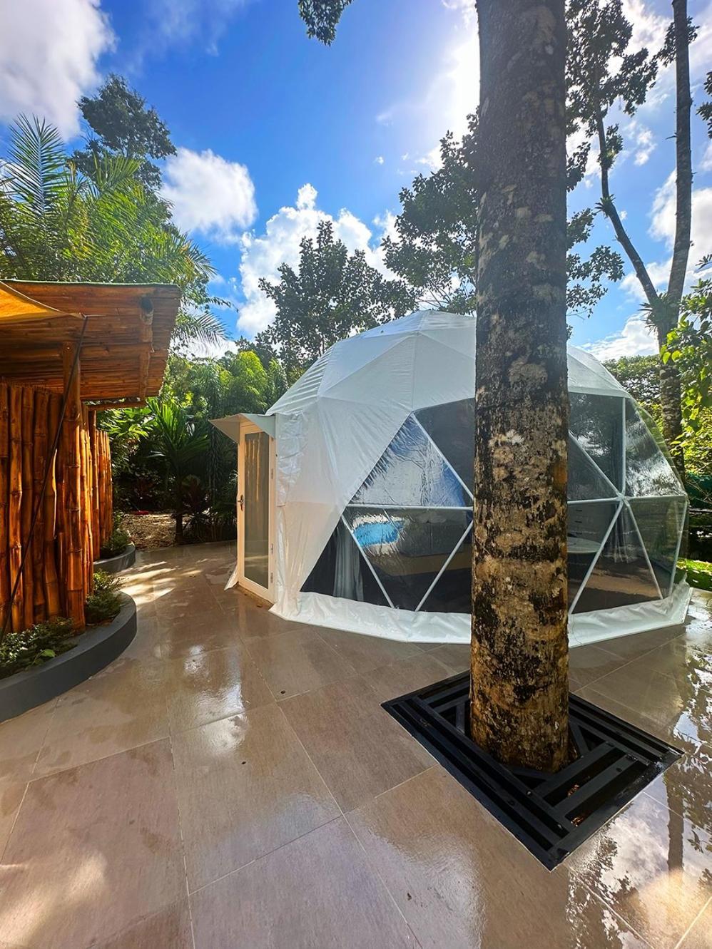 Palo Alto Glamping Hotel Quesada  Kamer foto